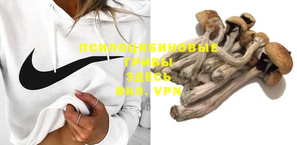стафф Нязепетровск