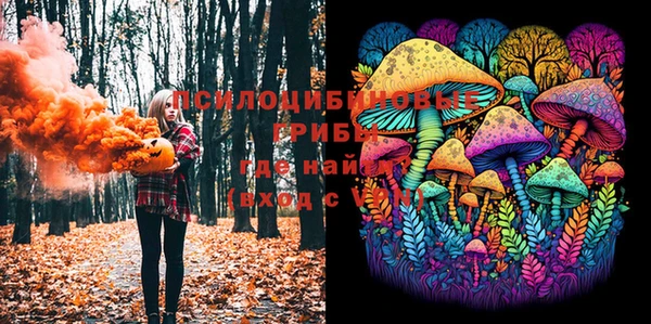 мдма Новозыбков