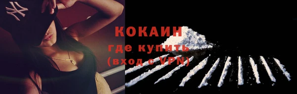 метадон Няндома