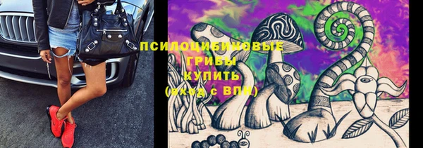 метадон Няндома