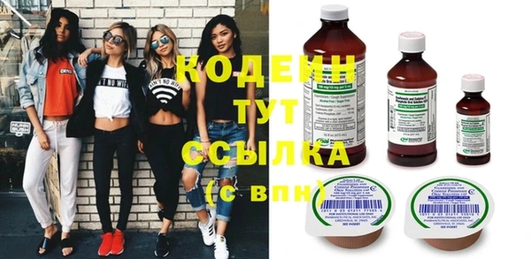 метадон Няндома
