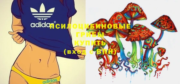стафф Нязепетровск
