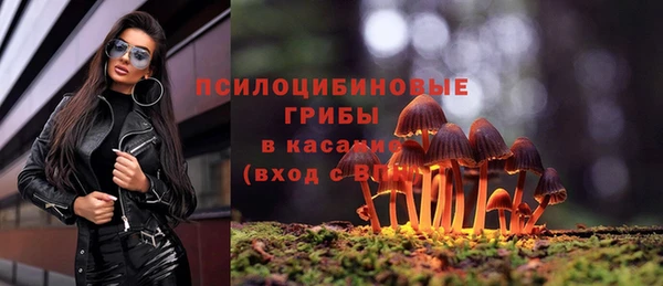 метадон Няндома